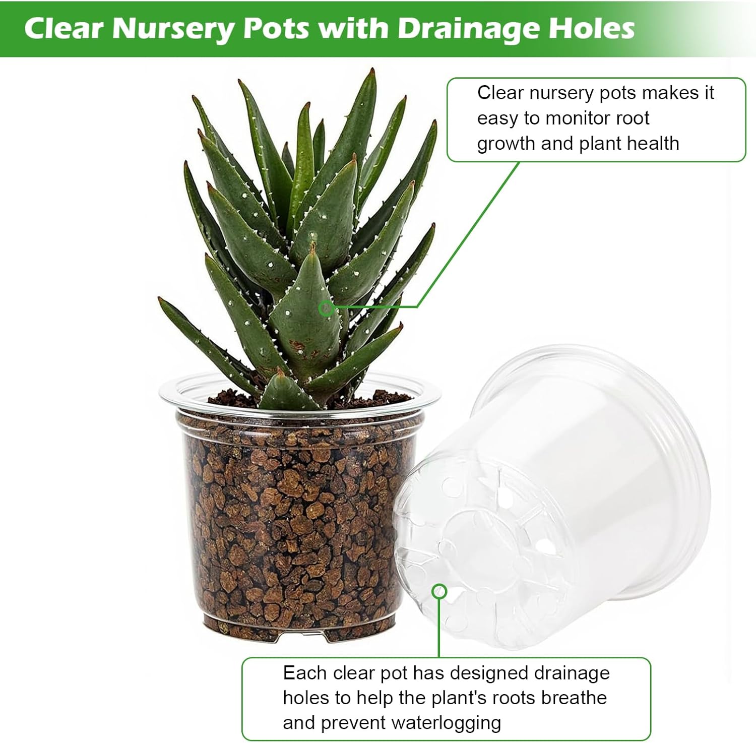 60 Pack Clear Nursery Pots with Drainage Holes, 3.5/4/5/6/7 Inch Clear Plastic Pots for Plants, Reinforced Transparent Nursery Pot with 60 Colorful Plant Labels 2 Garden Tools