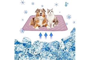 Bernard Dehydrated Water: Ultimate Hydration for Your Precious Pets