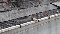 Wuyue Hua 16cm x 600cm Erőteljes Csatornavédő Levélszűrő Rendszer 8