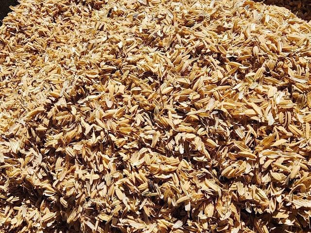 Rice Husk for Soil Mix