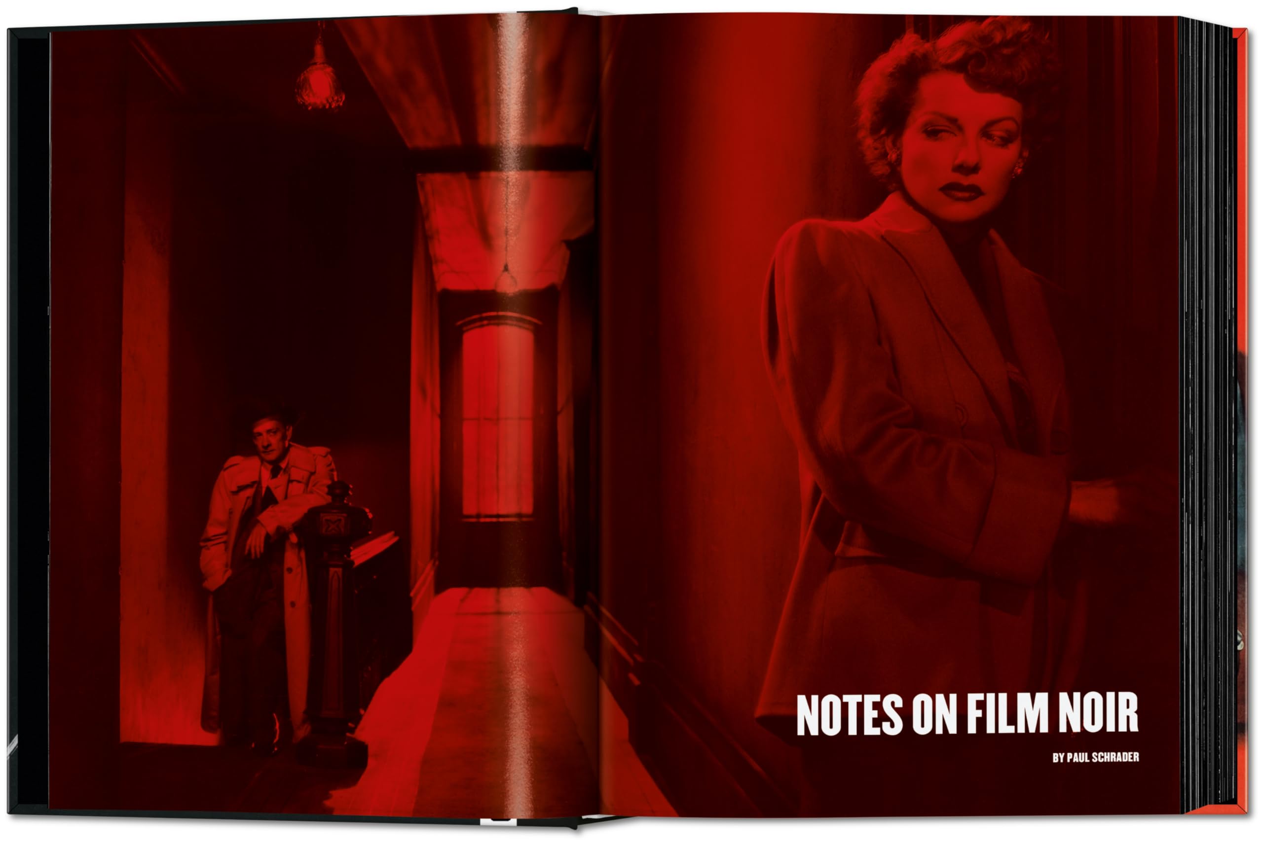 Film Noir: 100 All-Time Favorites (Sourcebook)