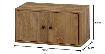 Amazon.co.jp: 不二貿易 コネクトボックス 扉付き 幅60×奥行32