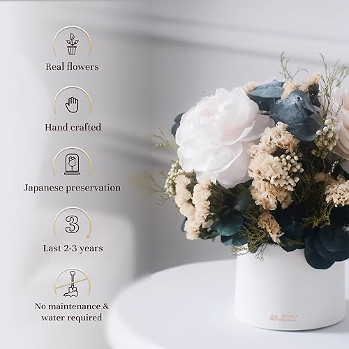 Miniatura 2 de Amely Rosa preservada, rosa real, flores preservadas, rosa real en florero, rosas eternas, ramo de flores, decoración interior, rosas duran un año,