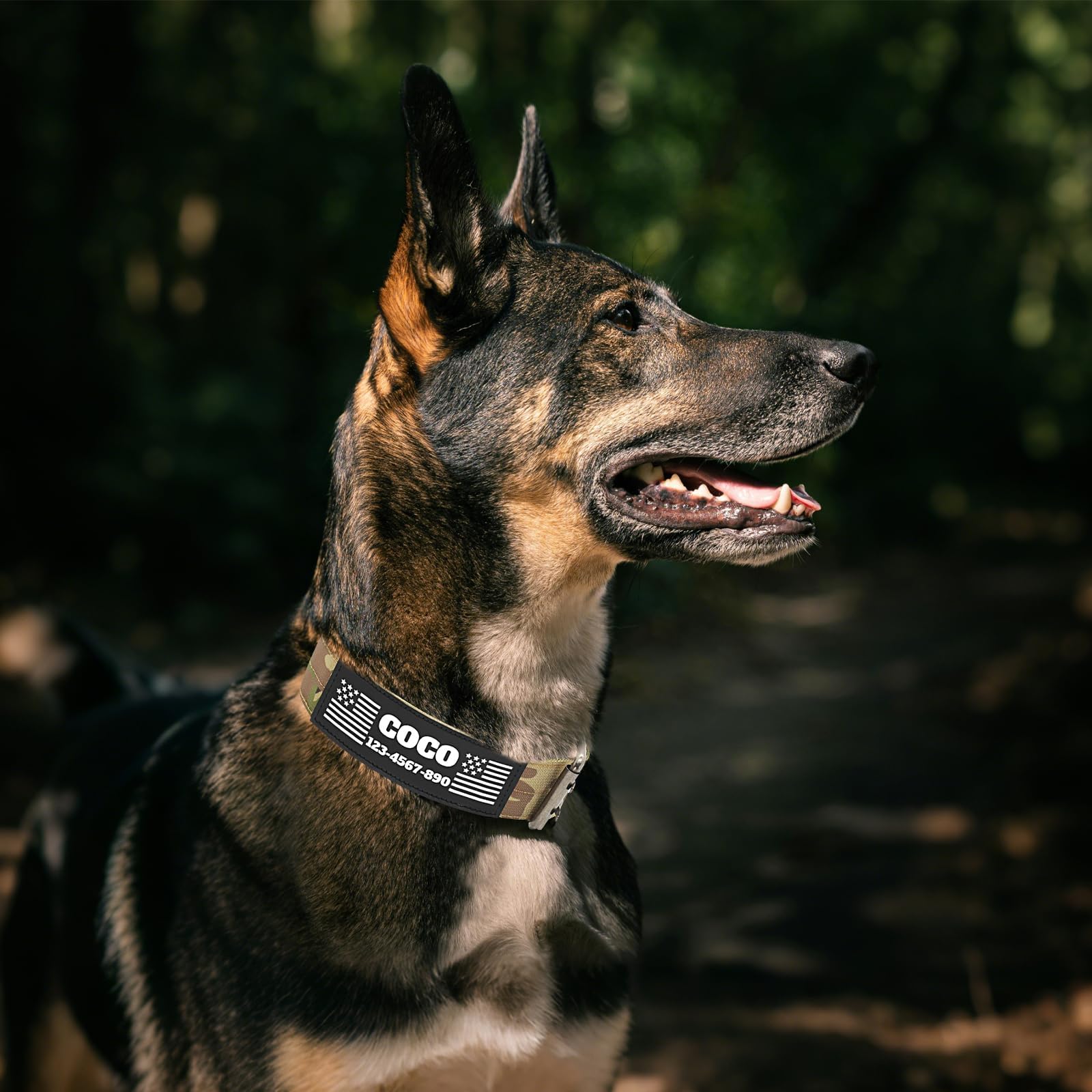 Personalisiertes, taktisches Hundehalsband mit Namens- und Nummeraufnähern, strapazierfähiges, individuelles Halsband mit 2-poliger Metall-Gürtelschnalle und Griff für mittelgroße und große Hunde
