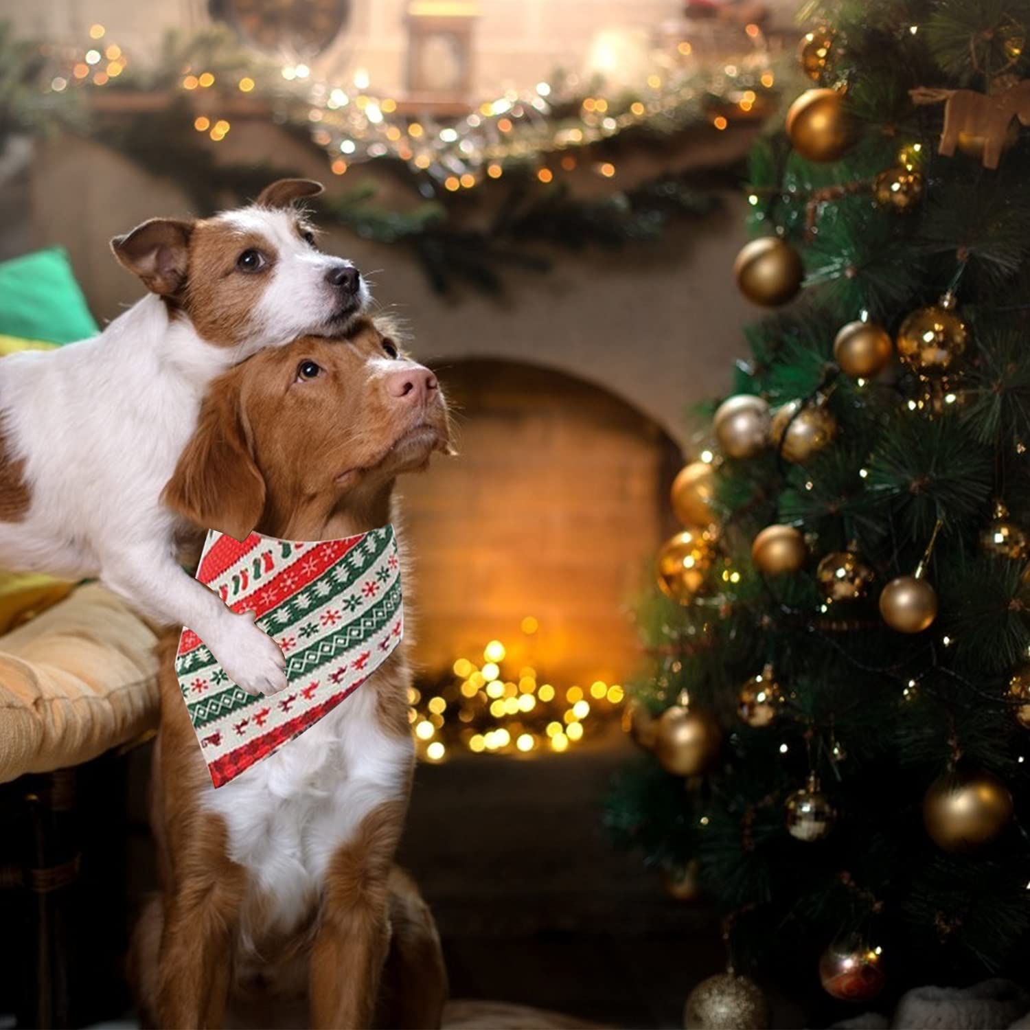 2 Pezzi Bandana Natalizia A Quadri Per Cani, Plaid Classico