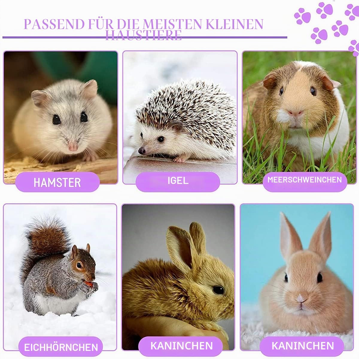 Kleintier-Hängematte, Frettchen-Hängematte, Hängematte und Tunnel, Hamster, Eichhörnchen, Zuckerschleuder, Meerschweinchen, Frettchen Zubehör, Hängeversteck Tunnel, Röhrenspielzeug für Käfig (lila)