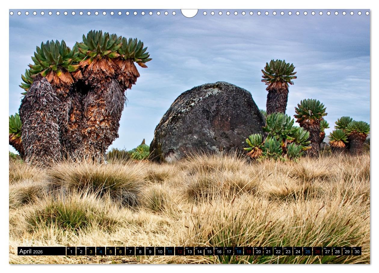 Kilimanjaro - das Dach Afrikas (Wandkalender 2026 DIN A3 quer), CALVENDO Monatskalender: Der höchste Berg Afrikas und einer der berühmtesten freistehenden Berge der Welt (CALVENDO Orte)