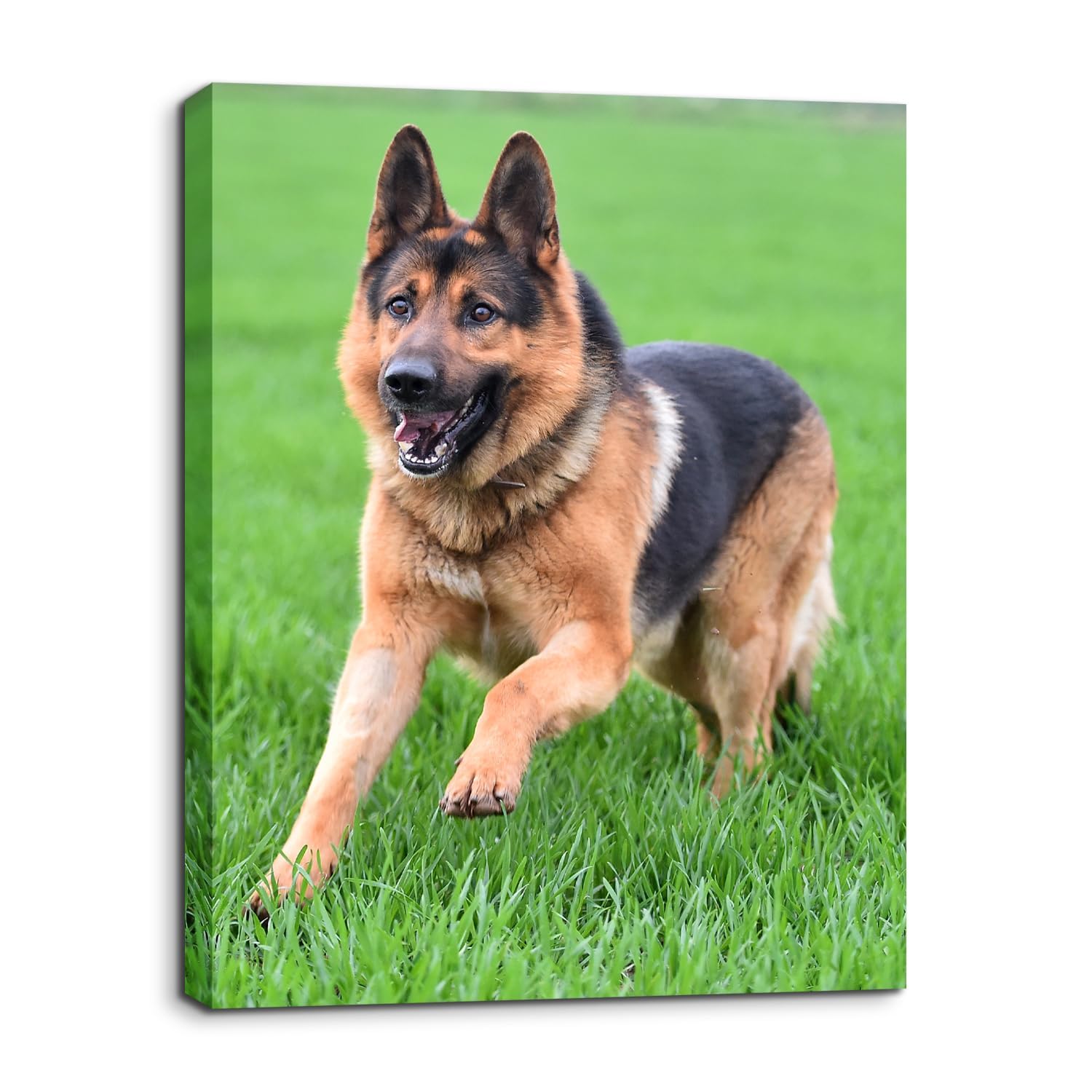 Personalized Custom Canvas Photo Prints - Canvas Prints With Your Photos Pictures On Canvas Wall Art for Home Decor, Bedroom, Living Room, Wedding