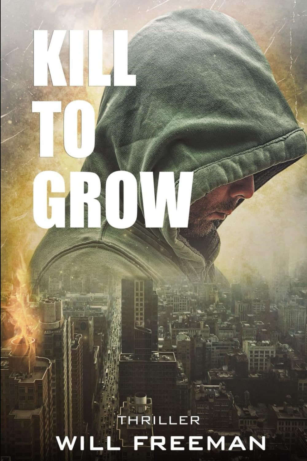 Kill to Grow (The Peter Black series)