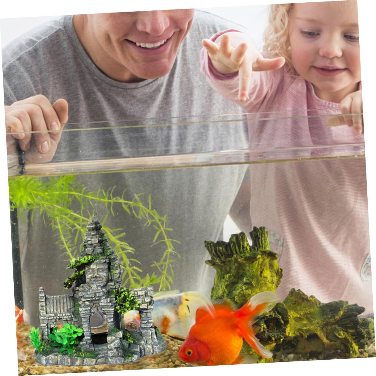 Décoration de Réservoir Aquatique Maison pour Poissons Crevettes Ornement Forme pour Aquarium