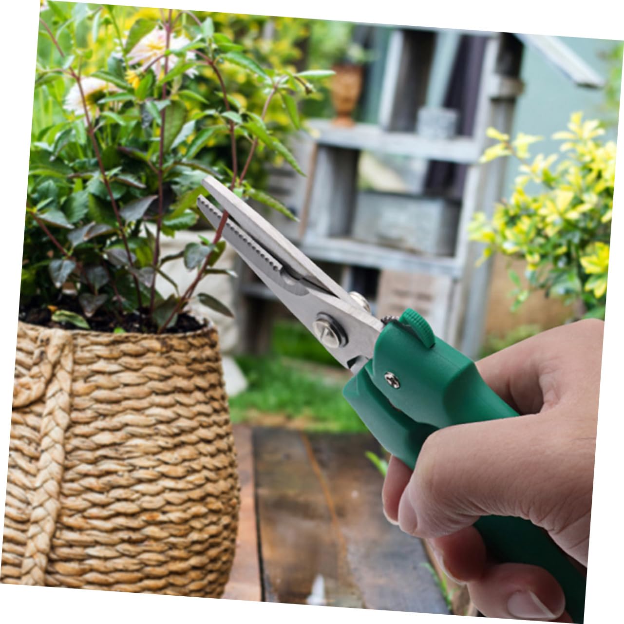 HANABASS 3 Pièces Sécateur de Jardin Acier Inoxydable Outil de Ergonomique pour Élagage de Branches Fruits pour Jardinage Horticulture