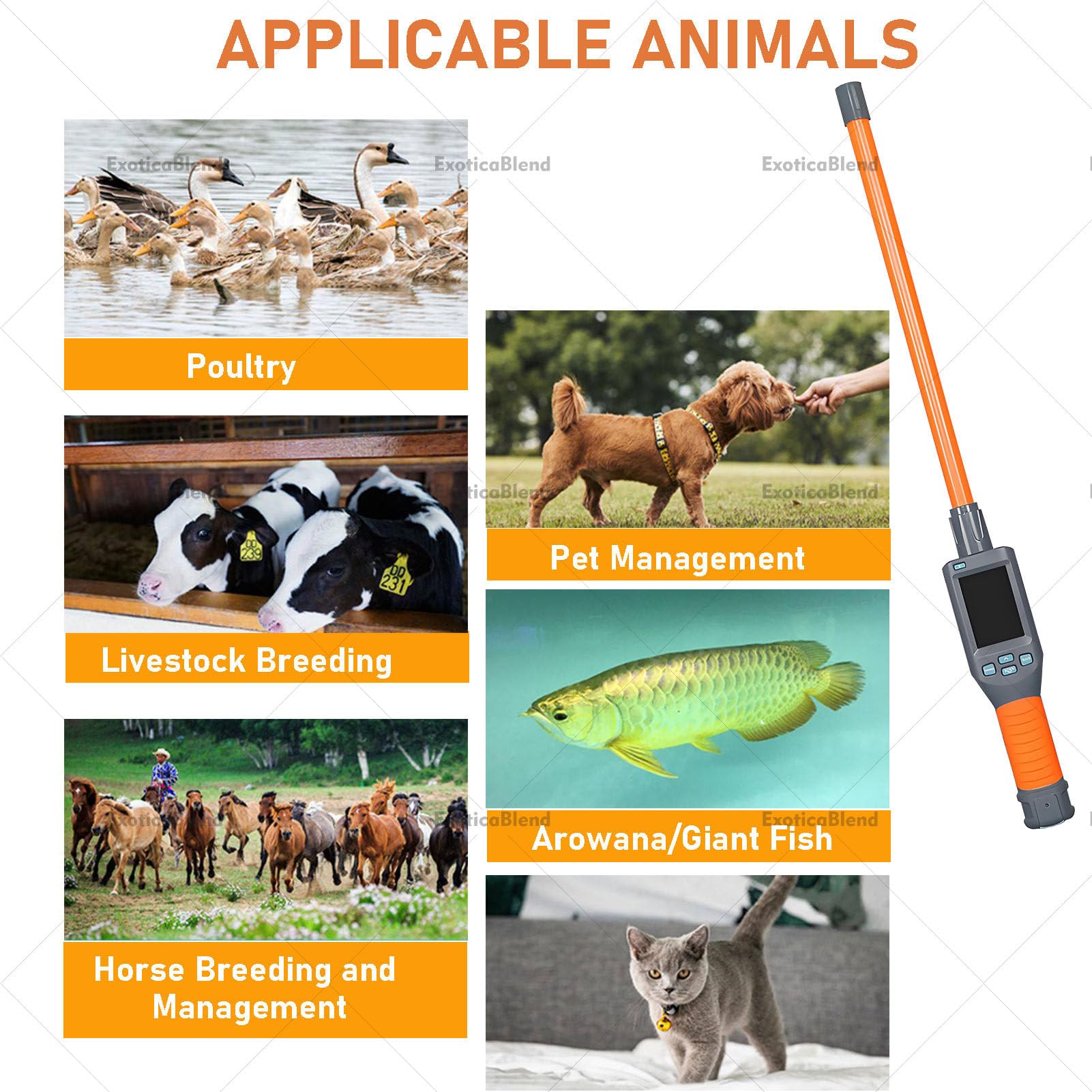 Scanner per Microchip Auricolari con Display LCD, Lettore per Microchip, Memoria Fino a 20.000 Dati, per Allevamenti, Rifugi e Proprietari di Animali Domestici