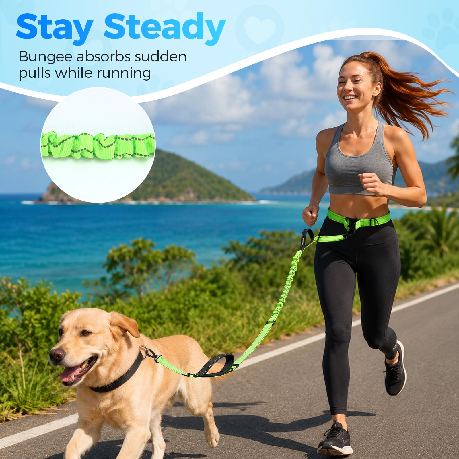Laisse mains libres robuste pour chiens de grande et moyenne race, 1,8 à 2,4 m, réfléchissante, en nylon solide, avec large ceinture, double poignée rembourrée pour la marche, le jogging, la course à