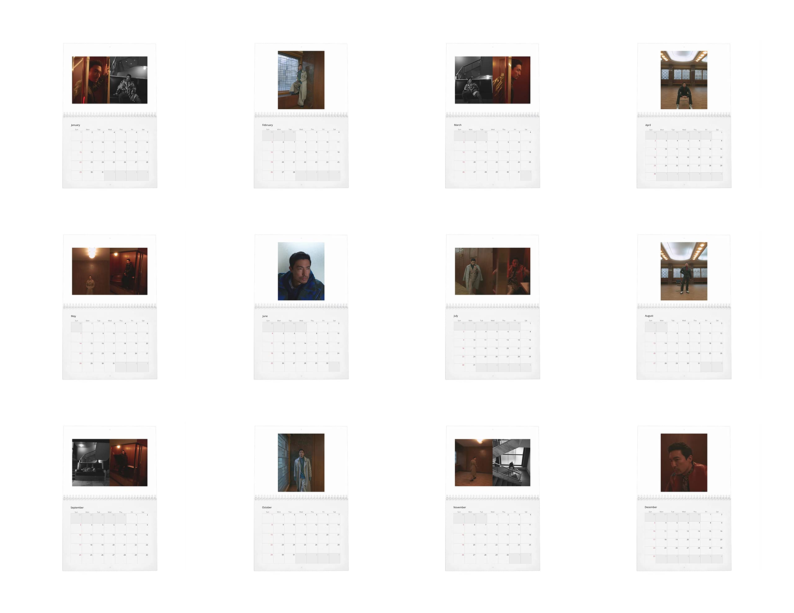 Daniel Henney -Master Of His Craft Wall Calendar