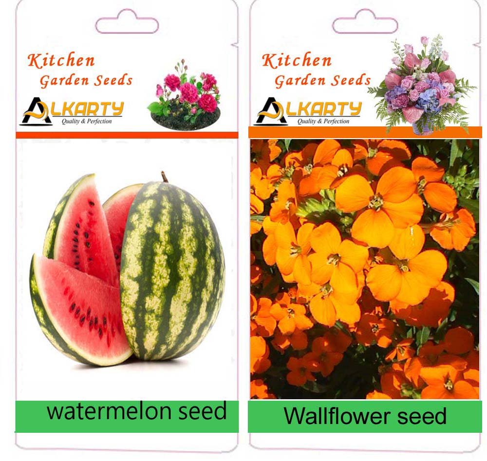 alkarty WallFlower and watermelo Seed (20 Each)-picture-24