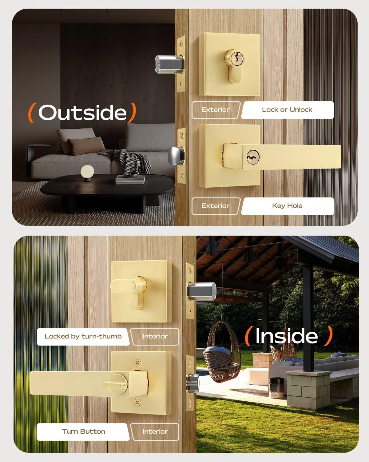 https://m.media-amazon.com/images/I/71-79qFyeaL.jpg