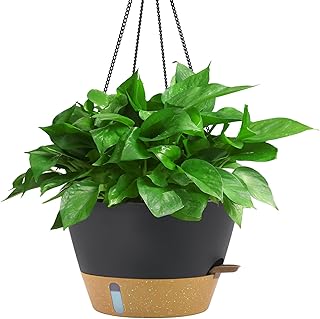 10 Pergola Ideas With Plants for Natural Shade and Beauty 59 ZMTECH 12 Inch Large Hanging Planters for Outdoor Plants, Self Watering ...