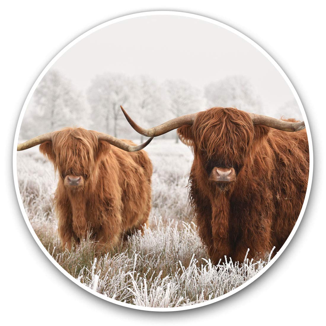 Destination Vinyl Ltd Winter Highland Cow Scotland 14591 Vinyl Stickers (Set Of 2) 7.5Cm - Winter Highland Cow Scotland #14591