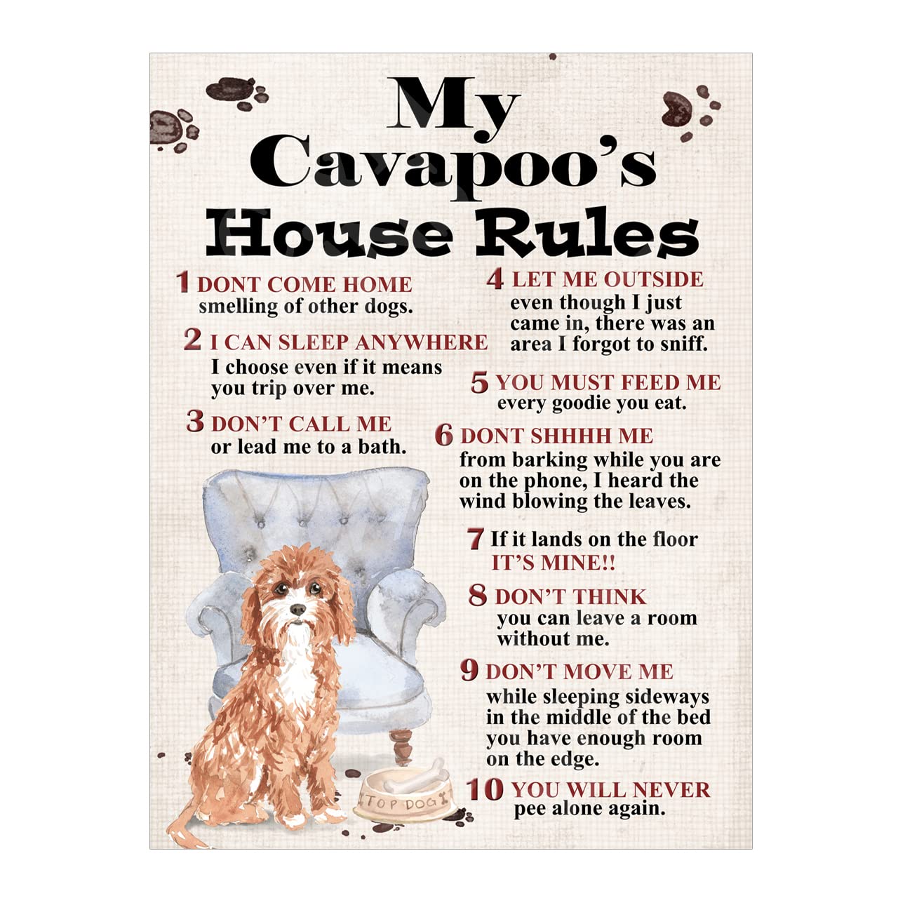 Metal Tin Sign Dog Plaque Dog's House Rules Garden Bar Home Decor Garage Man Cave Poster Pet Gift Dog Lovers (Cavapoo 10x8 Ref8255) — image 1
