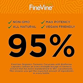 Turmeric Curcumin with BioPerine Black Pepper and Ginger - Made in USA - 240 Vegetarian Capsules for Advanced Absorption, Joints Support