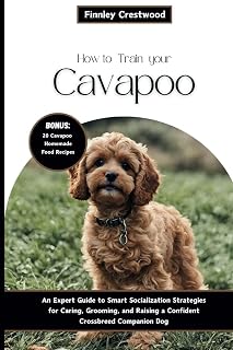 How to Train Your Cavapoo: An Expert Guide to Smart Socialization Strategies for Caring, Grooming, and Raising a Confident Crossbreed Companion Dog
