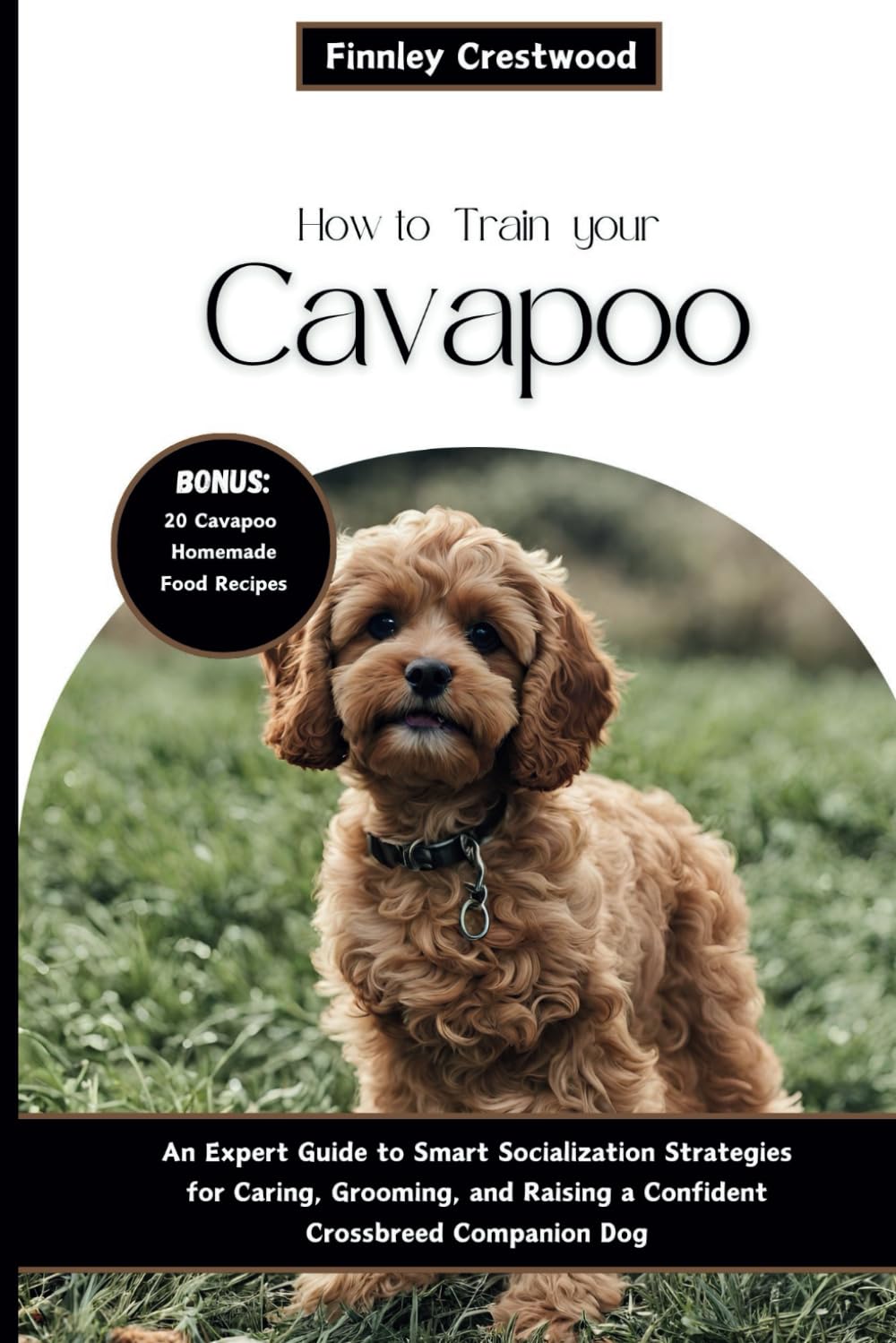 How to Train Your Cavapoo: An Expert Guide to Smart Socialization Strategies for Caring, Grooming, and Raising a Confident Crossbreed Companion Dog