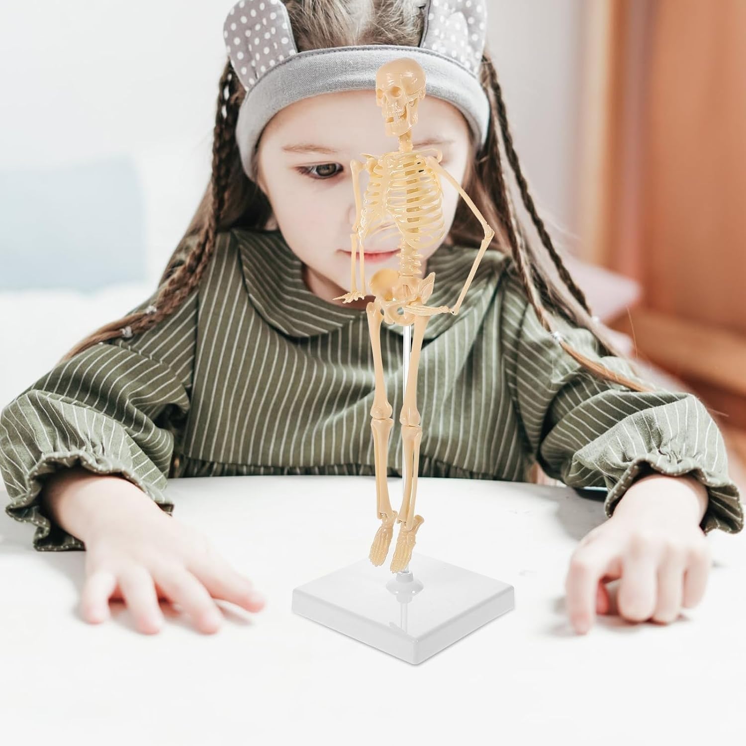 Model ludzkiego szkieletu do nauki anatomii, figurka edukacyjna do samodzielnego montażu z podstawą