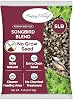 Songbird Blend Bird Food, Mix of Sunflower SeedsKernels, Safflower Seeds and Peanuts, 5 Pounds | No Grow Seed | Bird Seed for Wild Birds