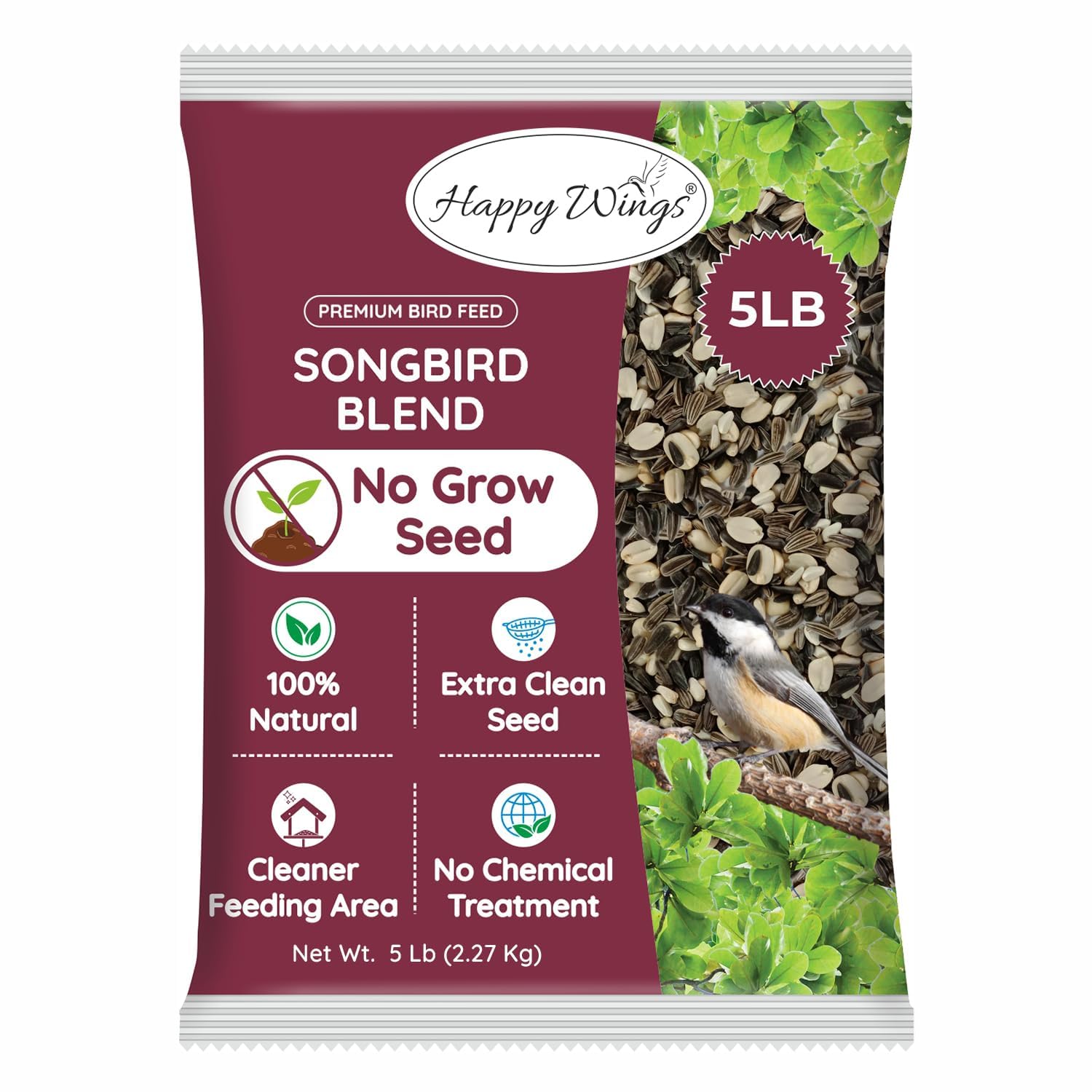 What is Bird Seed: Ultimate Guide to Choosing the Best Mix