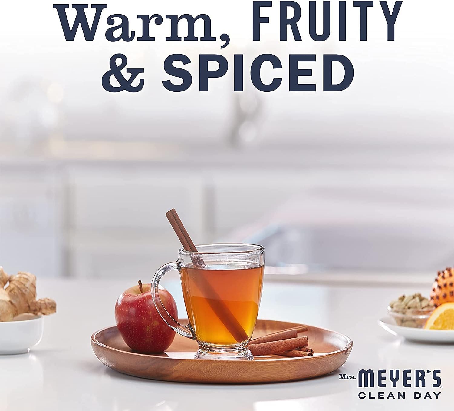 MRS MEYERS CLEAN DAY Variety, 1 Mrs Meyers Liquid Dish Soap Apple Cider, 16 OZ, 1