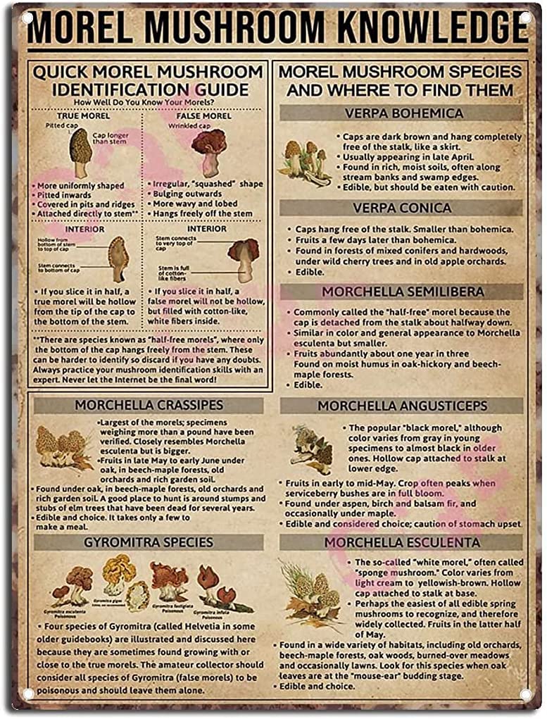 Retro Tin Sign Metal Poster Vintage Wall Decor Morel Mushroom Knowledge The Kitchen Sign Retro Funny Decorative Iron Picture 8x12 inch-Aluminium Sign