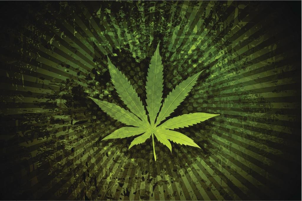 Amazon.com: Marijuana Leaf Cannabis 420 Vector Illustration Cool