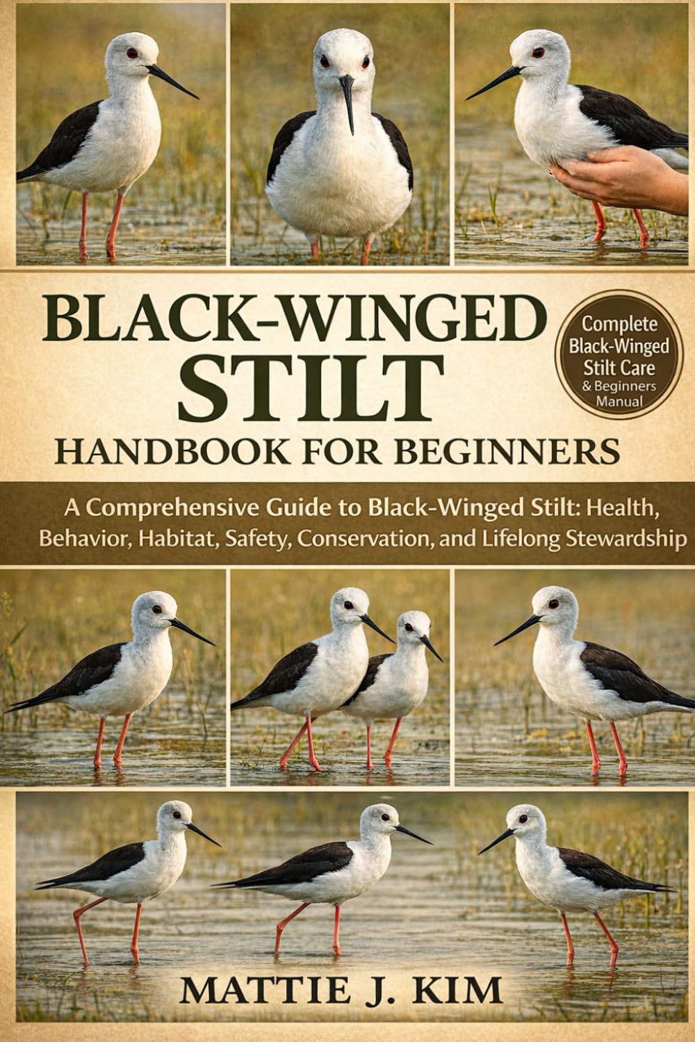BLACK-WINGE STILT HANDBOOK FOR BEGINNERS: A Comprehensive Guide to Black-winged Stilt: Health Behavior, Habitat, Conservation, and Lifelong Stewardship