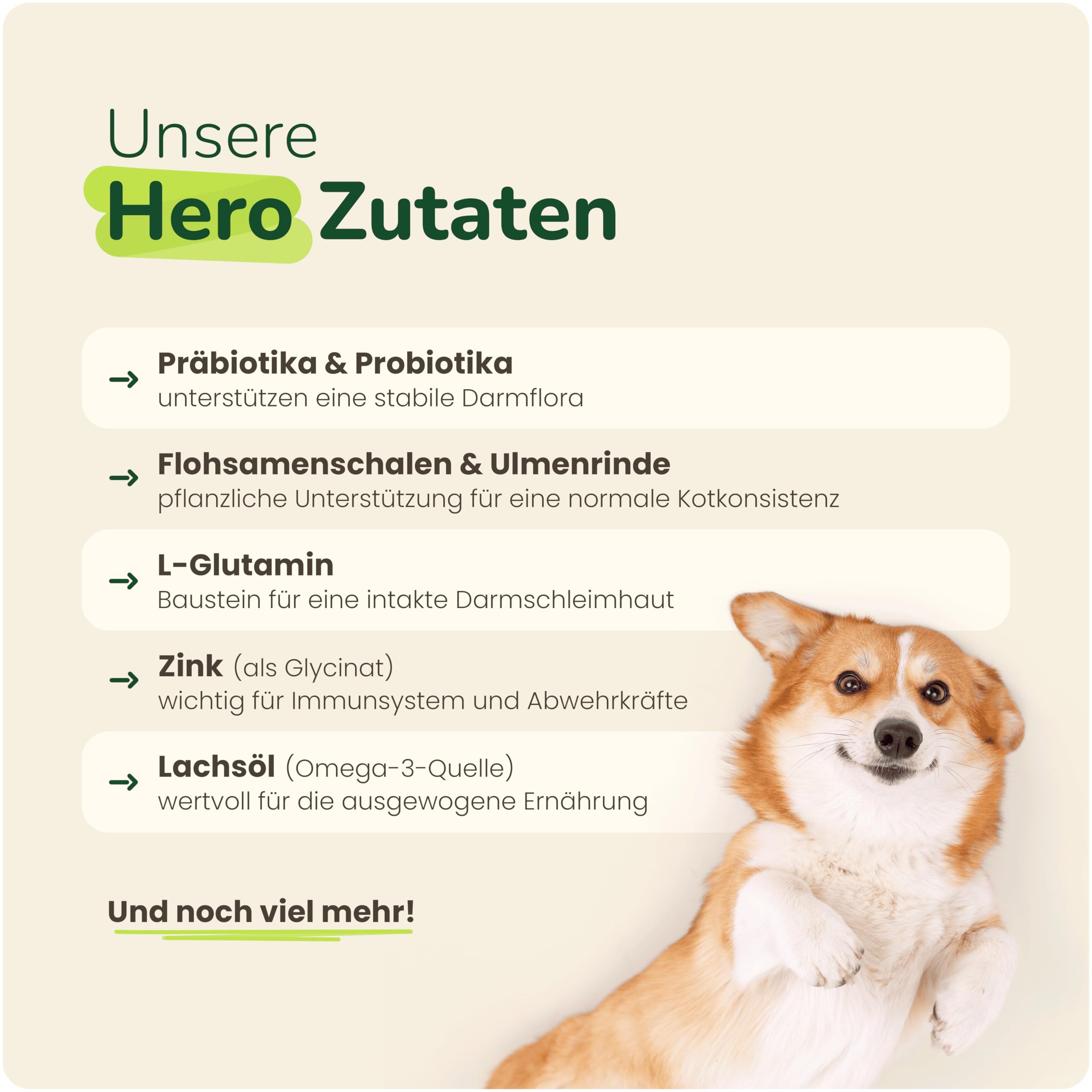 Prä- & Probiotika für Hunde – 100 funktionale Snacks (300 g) | Unterstützt Darmflora & Verdauung | Bei Grasfressen, Blähungen & sensiblen Mägen | Auch zur Unterstützung des Immunsystems