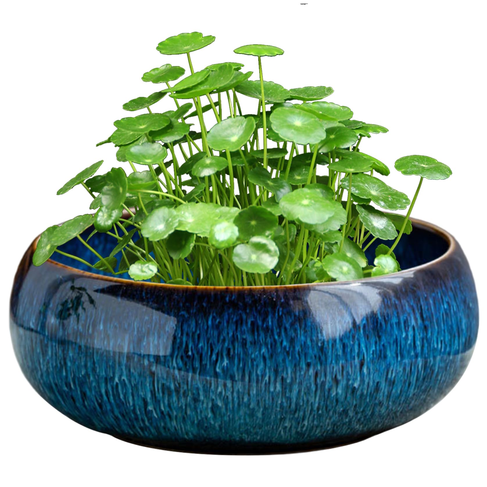 Nassmosse Blue Lotus Bowl Planter Ceramic Bonsai Schale For Hydroponic Plants, Water Lotus Bowl, Multi-Use Planter For Succulents, Flowers And Aquatic Plants (16.5X6.5cm)