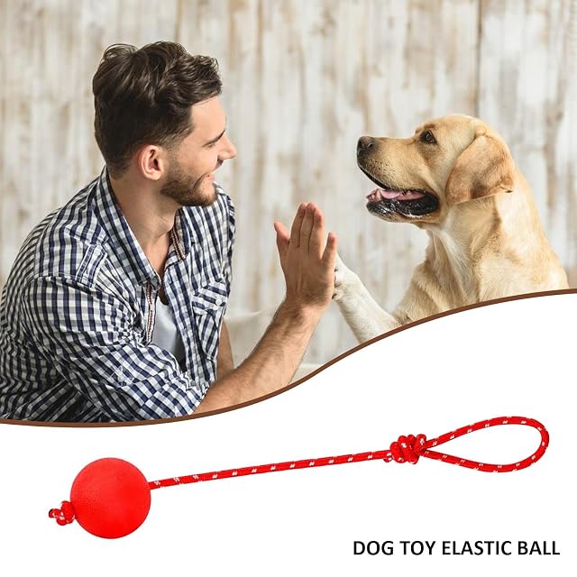 Foto 3 de 8 de Teksome Cuerda para Perro, Bolas Cuerda Goma para Perros