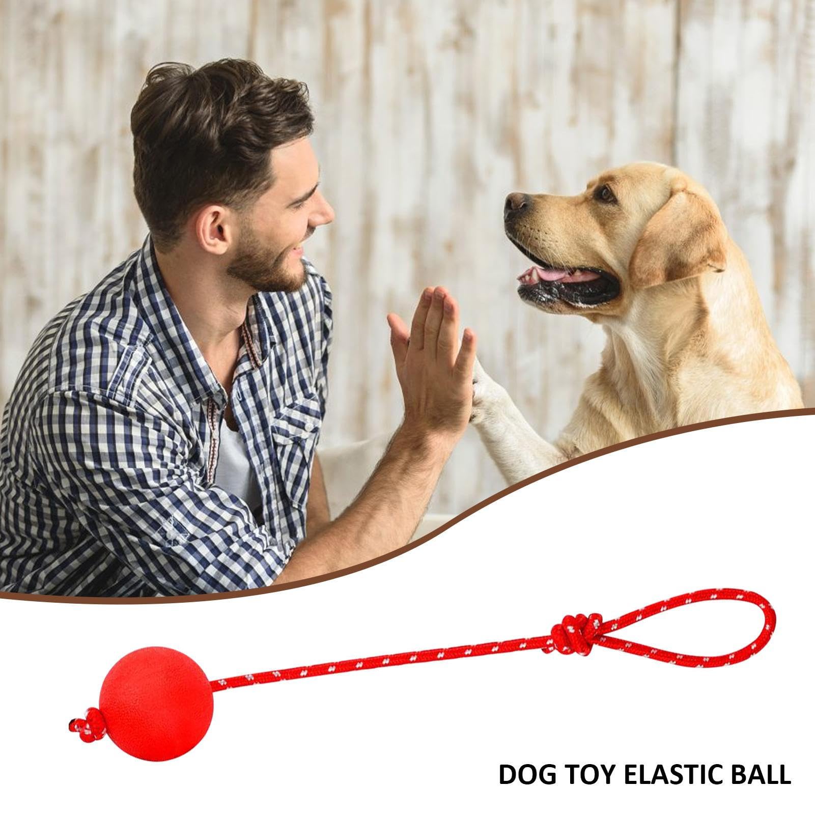Nero Ball Splash – Schwimmender Hundeball Am Seil Für Strand, See & Pool, Perfekt Für Training & Spiel