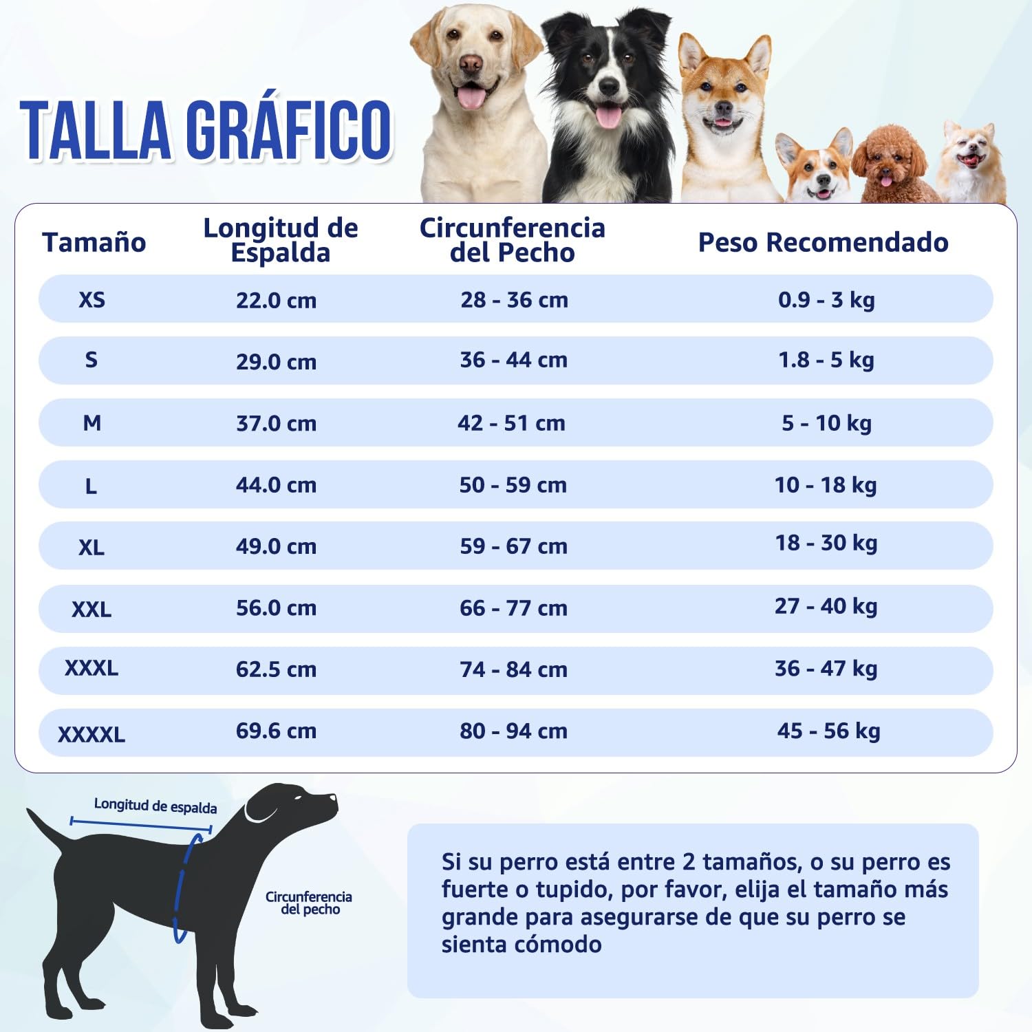 SlowTon Traje de recuperación de cirugía para Perros - Alternativa de Collar en Forma de Cono para Perros después de la cirugía con Cremallera, Camisa de recuperación Profesional para Mascotas