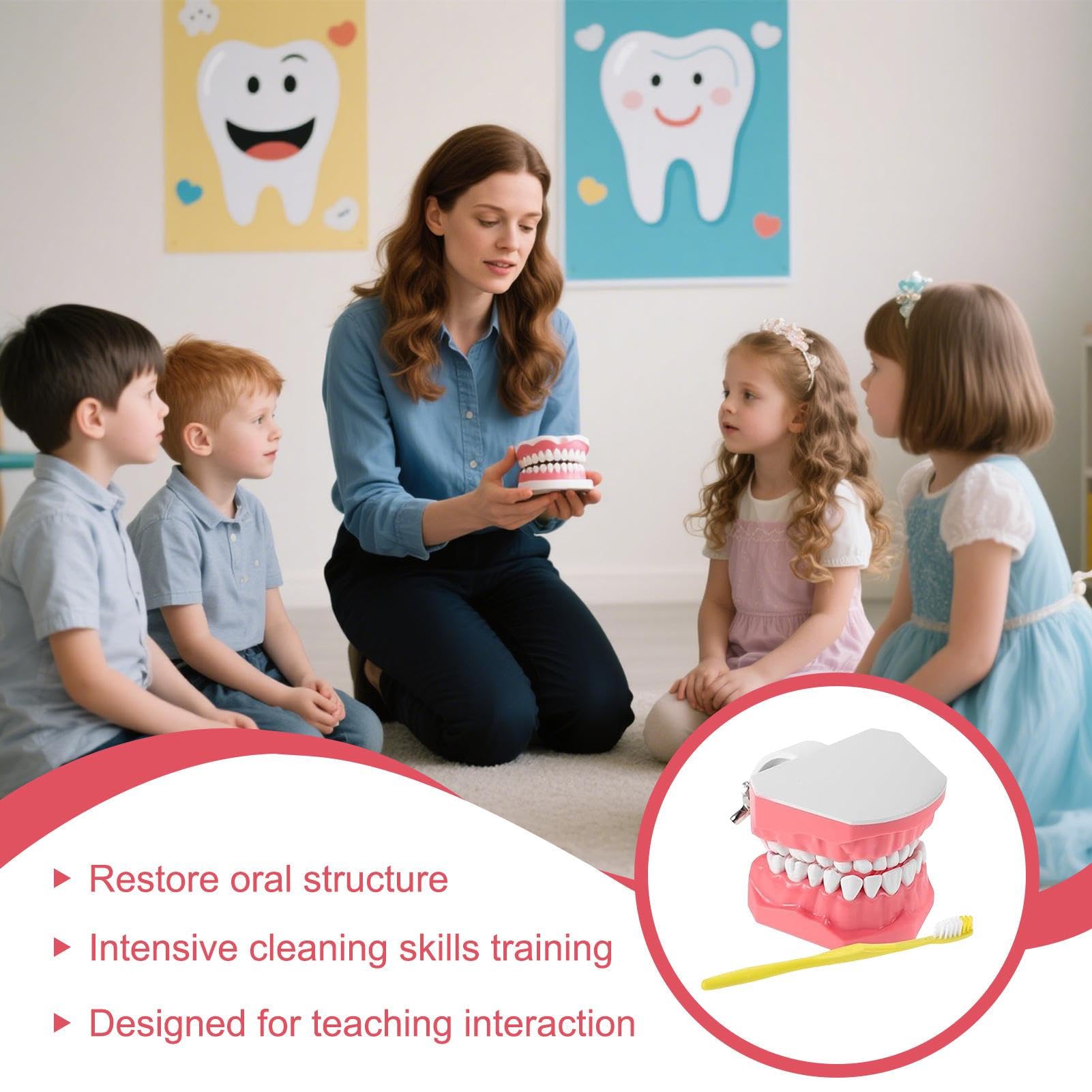 Modelo de dientes - Herramienta de educación de dentales con pincel | Modelo de grande, ideal para capacitación, incluye ayuda para la enseñanza para adolescentes jóvenes amigos de la familia niñ