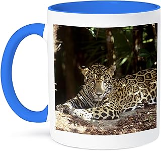 3dRose Belize, Jaguar in the Jaquar Preserve - SA02 GJO0158 - Greg Johnston 11oz Two-Tone Blue Mug