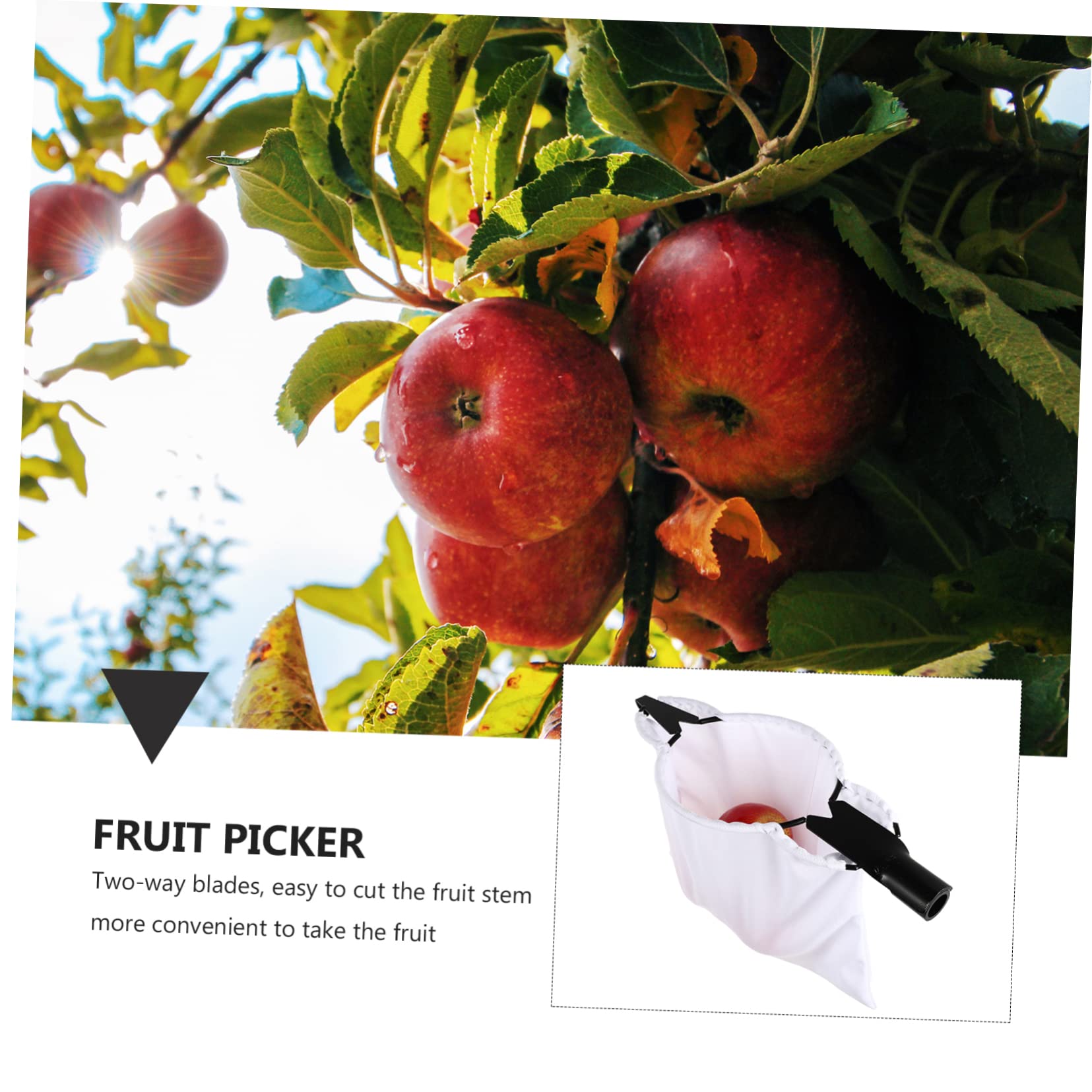 Raccoglifrutta Telescopico in Acciaio Inox Doppia Lama | Testa Cestello Singola, Bianco, per Pere e Pesche, Raccoglie Frutti Insieme, Uso Semplice