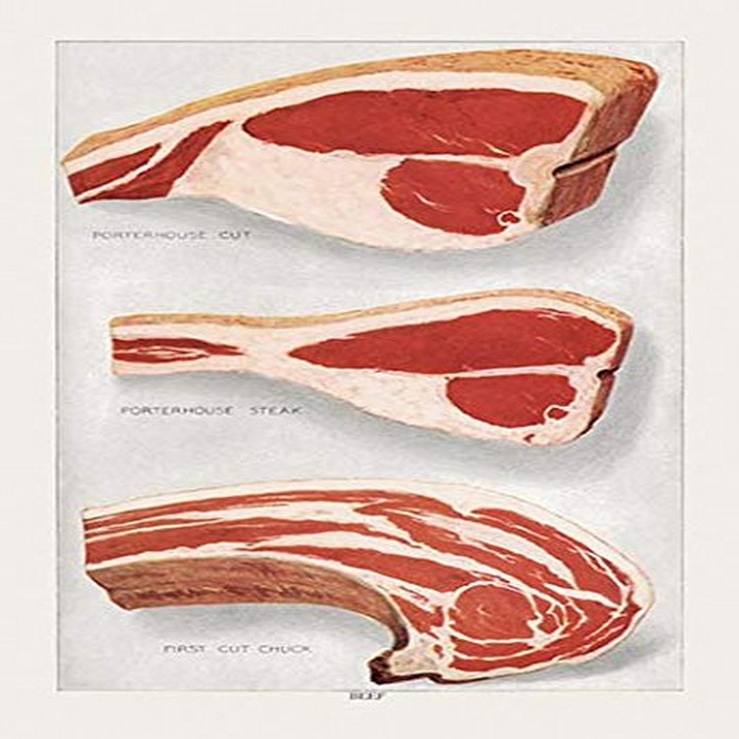 Buyenlarge 0-587-07913-4-G1827 'Beef: Porterhouse and Chuck' Giclee Fine Art Print, 18" x 27"