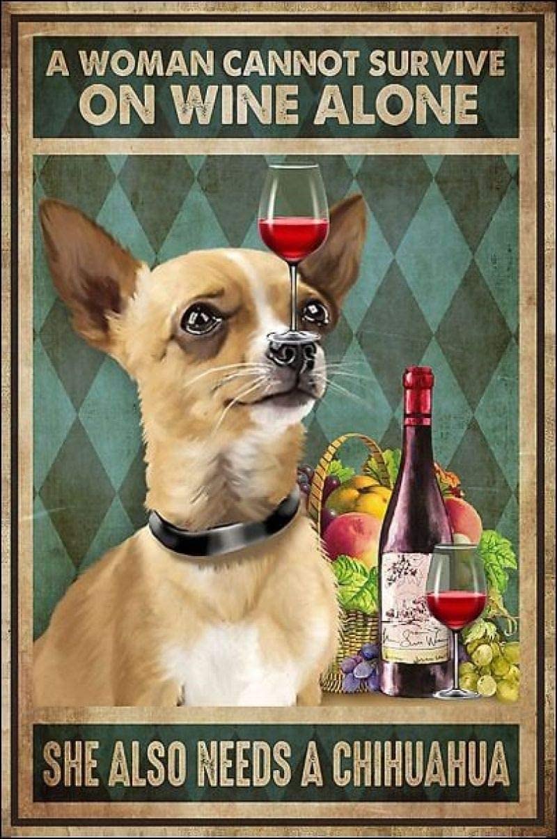 Tin Sign A Woman Cannot Survive On Wine Alone She Also Needs A Chihuahua Decoration Tin Sign Wall Art Decor Metal Sign Poster 8X12 Inches