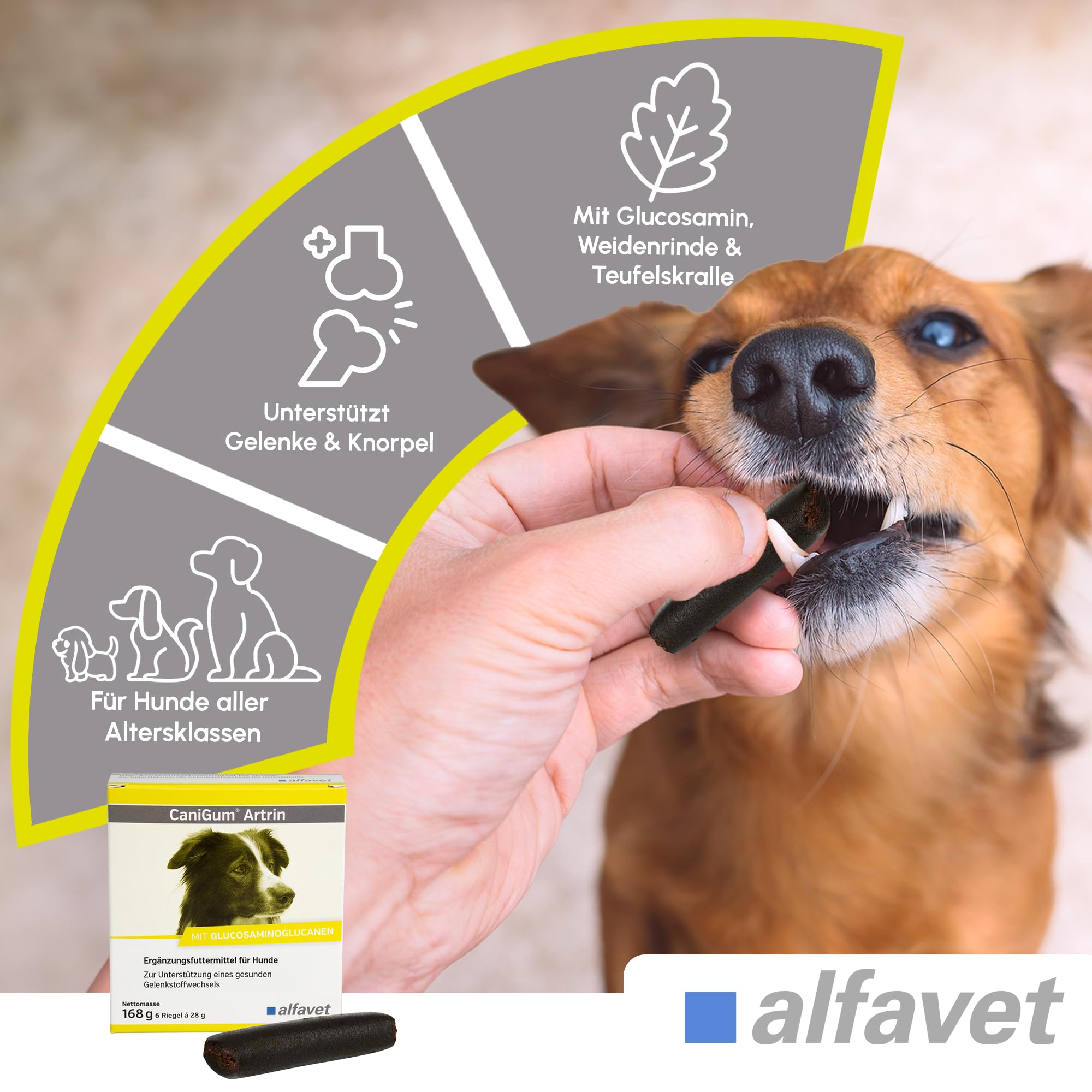 Alfavet CaniGum Artrin - 2 x 6 x 28 g Kauriegel Hund - Gelenkstoffwechsel