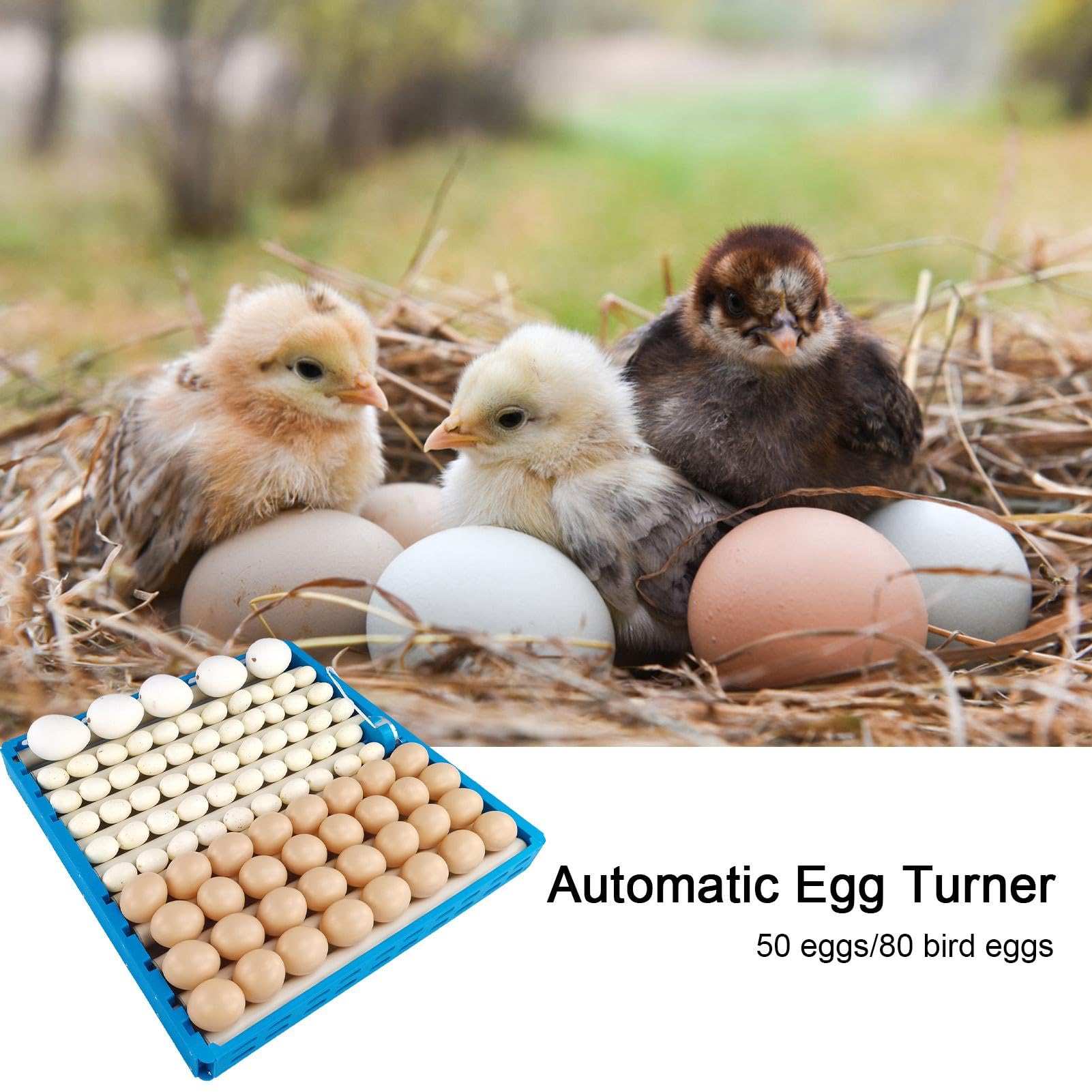 Incubatore Egg Turner | Automatico - Vassoio girevole per schiudere le | uova | Broodter - Incubatore per polli, anatre, quaglie, di, tornere, volatili, rotazione regolabile '