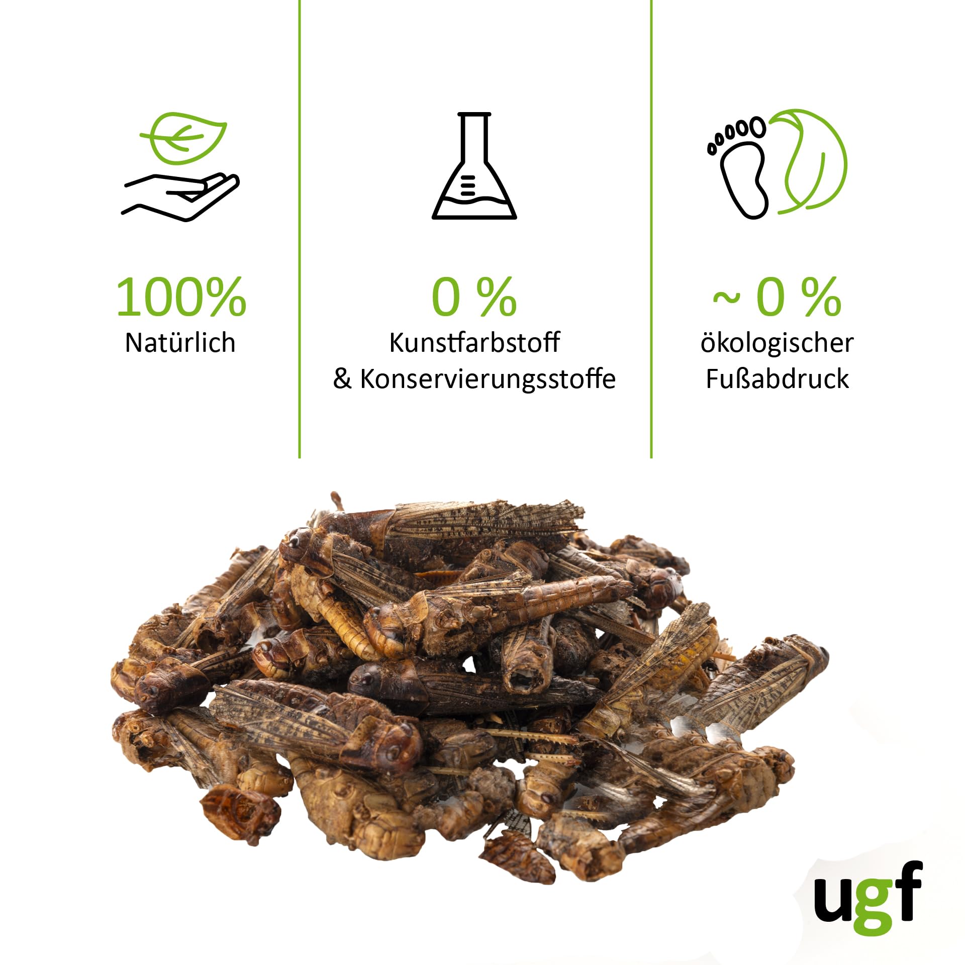 2 Figuras De De Saltamontes Naturales De Plástico Para , Juguetes
