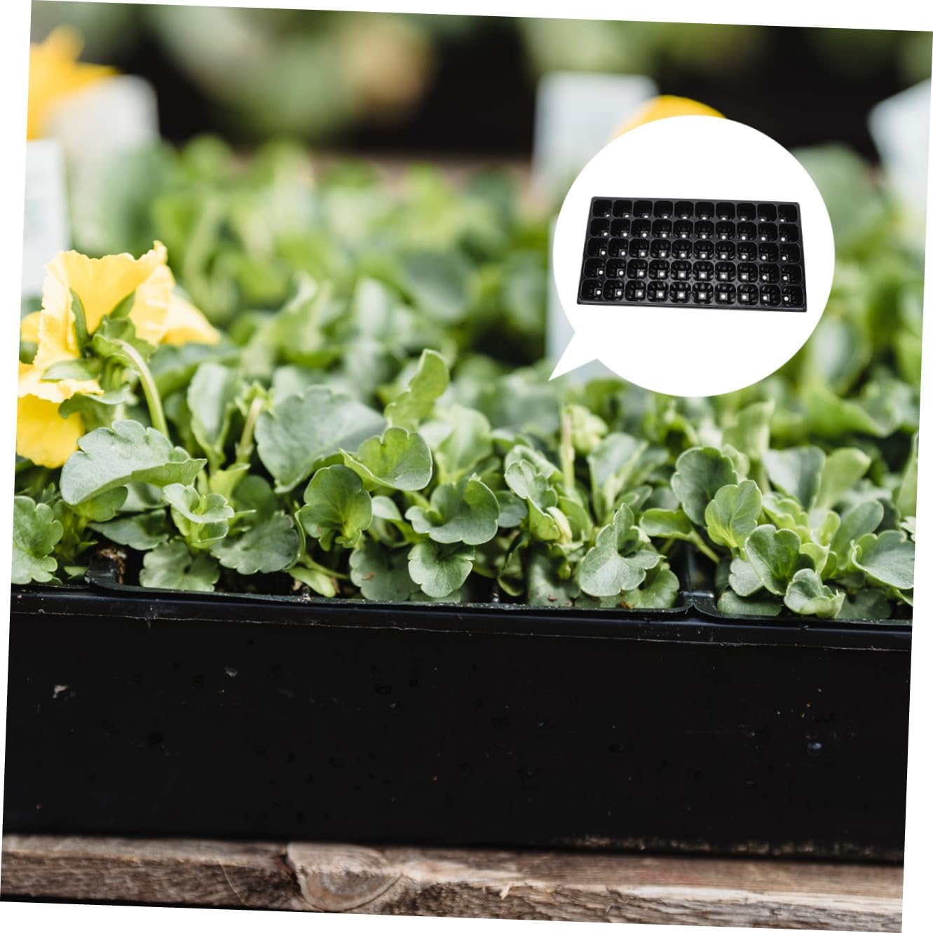 10pcs Thickened Plant Germination Trays Growing Containers for Vegetables Flowers and for Indoor and Outdoor Gardening