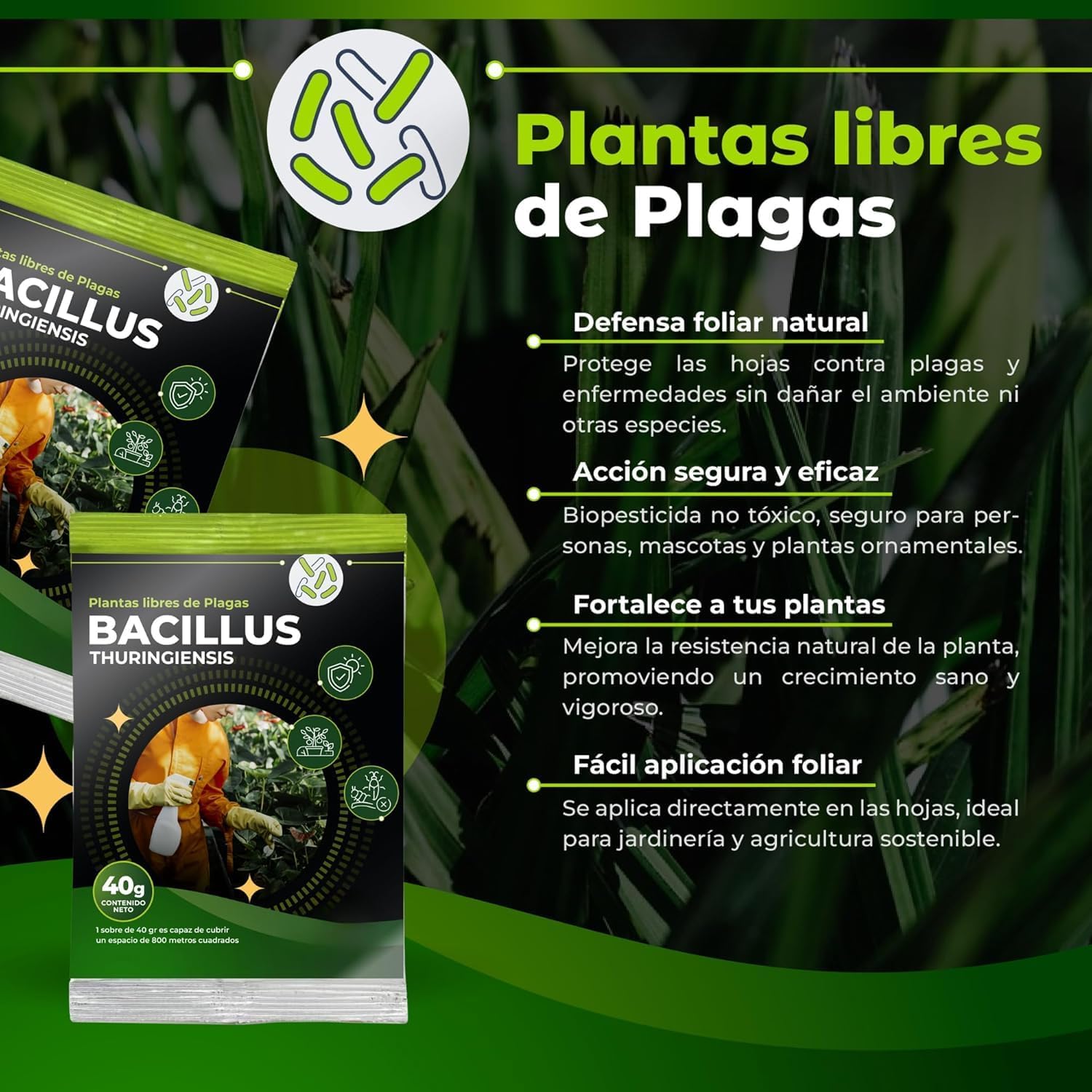 TRABE Pack 5 Bacillus Thuringiensis 40g | Protección contra Orugas Ecológico | Protege Todo Tipo de Cultivos y Plantas de Plagas | Respeta Animales, Medio Ambiente y Personas