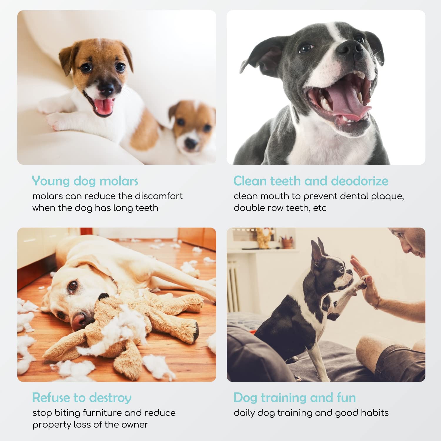 Nobleza - Carne Secca di Pollo per Cani, Snack per Cani Petto Petto di Pollo, Delicate Fette di Petto di Pollo, Mastica Premium Per Cani, Confezione da 6, 600g (Circa 12 Pezzi in Totale)