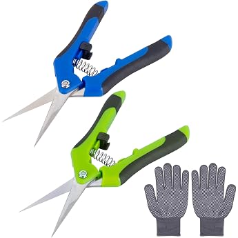 2 x Garden Shears Rose Plant Shears 170 mm Stainless Steel Harvesting Shears Flower Scissors Reading Scissors Loppers for Garden Fruit & Vegetables Harvesting Scissors Cannabis Trimming Plants Flowers + Gardening Gloves